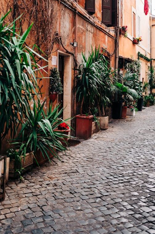 Quiet Roman street with building facades and plants