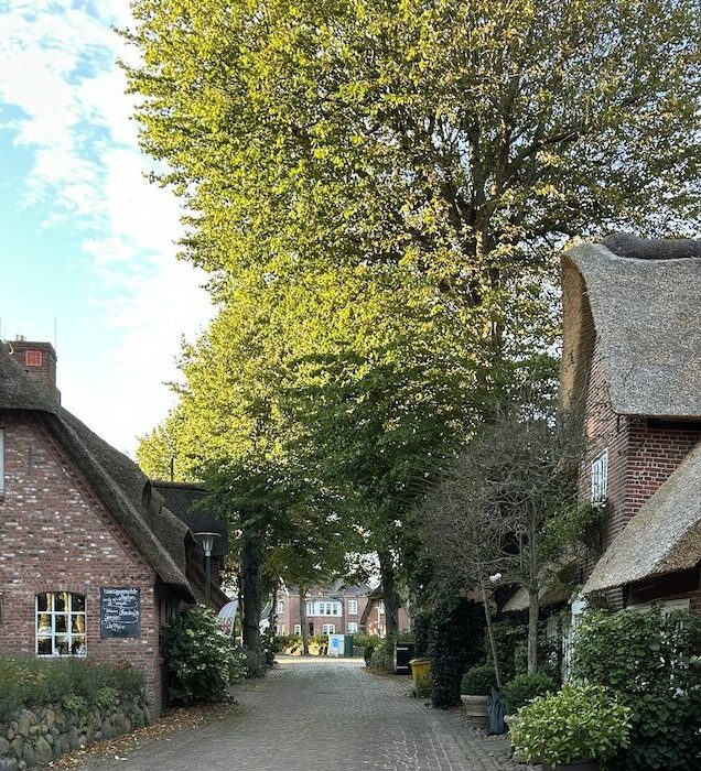 Houses in the town of Nieblum